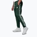 Férfi melegítőnadrág Pitbull Trackpants Tape Logo Terry Group bottle green 5
