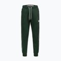 Férfi melegítőnadrág Pitbull Trackpants Tape Logo Terry Group bottle green 6