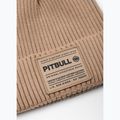 Téli sapka Pitbull Beanie Dock sand 2