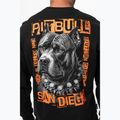 Férfi pulóver Pitbull Crewneck Blacky black 4