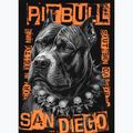Férfi kapucnis pulóver Pitbull Blacky Hooded black 7