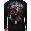 Férfi pulóver Pitbull Hero Hooded black 3