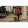 Női kabát Pitbull Angela San Diego Hooded Varsity fluo/red 17