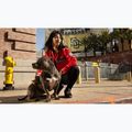 Női kabát Pitbull Angela San Diego Hooded Varsity fluo/red 19