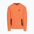 Férfi pulóver Pitbull Dogwood Crewneck Sweatshirt fluo orange 4