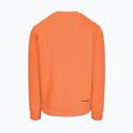 Férfi pulóver Pitbull Dogwood Crewneck Sweatshirt fluo orange 5