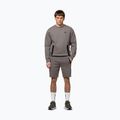 Férfi pulóver Pitbull Dogwood Crewneck Sweatshirt taupe 2