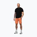 Férfi rövidnadrág Pitbull Dogwood Sport fluo orange 4