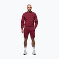 Férfi pulóver Pitbull Sampson Crewneck Sweatshirt burgundy 2