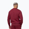 Férfi pulóver Pitbull Sampson Crewneck Sweatshirt burgundy 3