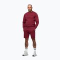 Férfi pulóver Pitbull Sampson Crewneck Sweatshirt burgundy 4