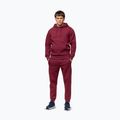 Férfi pulóver Pitbull Sampson Hooded Sweatshirt burgundy 2