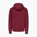 Férfi pulóver Pitbull Sampson Hooded Zip Sweatshirt burgundy 6