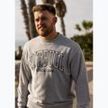 Férfi pulóver Pitbull Badger Crewneck grey/melange 11