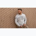 Férfi pulóver Pitbull Badger Crewneck grey/melange 12