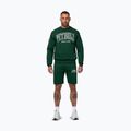 Férfi pulóver Pitbull Badger Crewneck hunter/green 2
