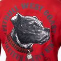 Férfi pulóver Pitbull Strenght & Respect Sweatshirt Hooded red 4