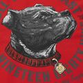 Férfi pulóver Pitbull Strenght & Respect Sweatshirt Hooded red 9