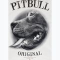 Férfi pulóver Pitbull Midnight Sweatshirt Hooded off white 9