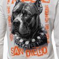 Férfi pulóver Pitbull Blacky Sweatshirt Zip Hooded off white 4