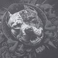 Férfi pulóver Pitbull World Sweatshirt Zip Hooded graphite 11