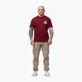 Férfi póló Pitbull Dog SD burgundy 2