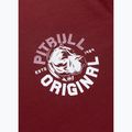 Férfi póló Pitbull Dog SD burgundy 7