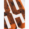 Férfi póló Pitbull Eighty Nine Dog Tank Top white 10