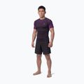 Férfi rashguard Pitbull Belt Rashguard purple 2