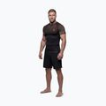 Férfi rashguard Pitbull Belt Rashguard brown 2