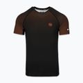 Férfi rashguard Pitbull Belt Rashguard brown 3