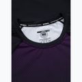 Férfi hosszú ujjú rashguard Pitbull Belt Rashguard purple 5