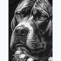 Férfi hosszú ujjú rashguard Pitbull Blacky Rashguard 8