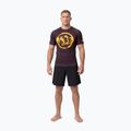 Férfi póló Pitbull Rashguard Logo Palms brown 2