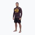 Férfi hosszú ujjú rashguard Pitbull Rashguard Logo Palms brown 2