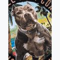 Női póló Pitbull Beach Girl black 11