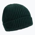 Férfi téli sapka 4F zöld H4Z22-CAM009