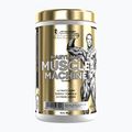 Edzés előtti étrend-kiegészítő Fitness Authority Levrone Gold Maryland Muscle Machine 385 g fruit punch