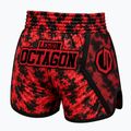 Edző rövidnadrágok Octagon Legion Kickboxing/Muay Thai Premium blodline 2