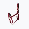 Fera Basic Red 4.15.bu.