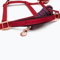 Fera Basic Red 4.15.bu. 2