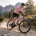 Női mountain bike ATTABO ALPE 2.0 29" pink 16