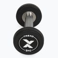 Gumírozott öntöttvas kézisúlyzó XTREXO Pro 2 kg black 6