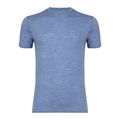 Férfi termoaktív póló WOOLCANO Merino 100% TEE0546 blue 4