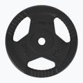 Öntöttvas súly TREXO TRX-ICP010 10 kg króm 2