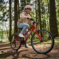 Gyermek kerékpár ATTABO EASE 24" piros 4