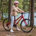 Gyermek kerékpár ATTABO EASE 24" piros 6