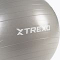 TREXO Gymball TXO-B4Z007-GY 55 cm szürke 6