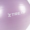 TREXO TXO-B4Z008-VT 65 cm lila gimnasztikai labda TXO-B4Z008-VT 65 cm lila 5