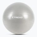 TREXO Gymball TXO-B4Z008-GY 65 cm szürke